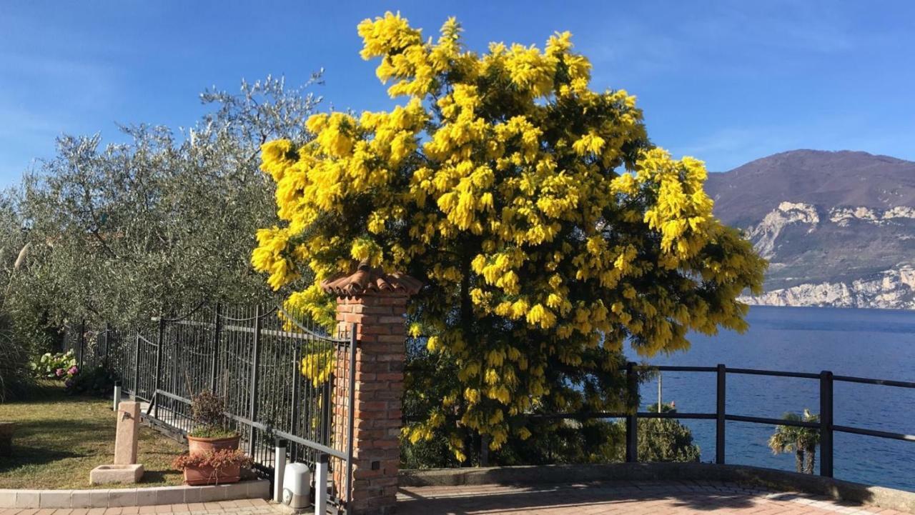 La Virgola Apartments Brenzone sul Garda Exterior foto